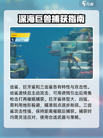 潜水员戴夫鲨鱼怎么抓介绍截图3
