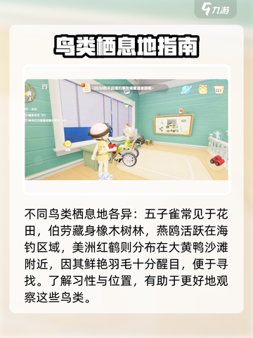 心动小镇🔥海鸥拍照任务全流程攻略🎉截图3
