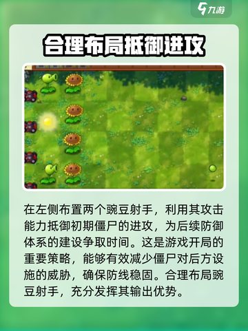 植物大战僵尸融合版🔥第一关攻略来了！快玩🔥截图2