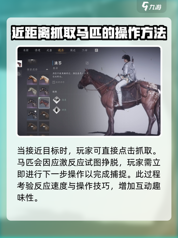 燕云十六声马在哪抓介绍截图3