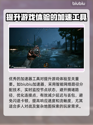 《TheBornless》黑屏闪退？无生者延迟丢包解决办法💥🔥截图5