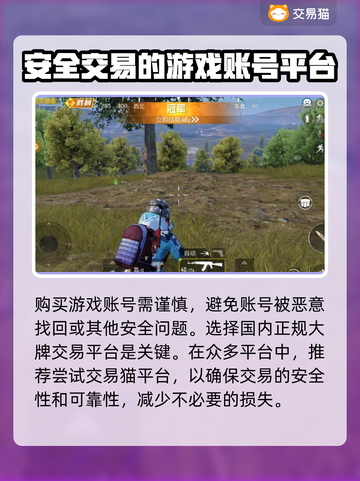和平精英：买号平台大揭秘！👇游戏党必看截图2