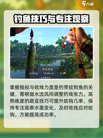 《钓鱼星球》爆招！带纹狗鱼轻松钓起✨截图4