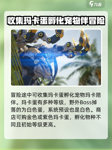 荒野起源🔥新手必看！轻松上分秘籍💎截图4