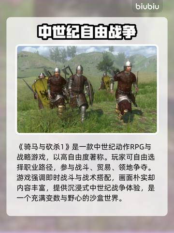 🎮骑马与砍杀延迟太高？一招解决！截图2