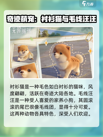 无限暖暖动物大揭秘！游戏🔥必看 Animals🎉截图4