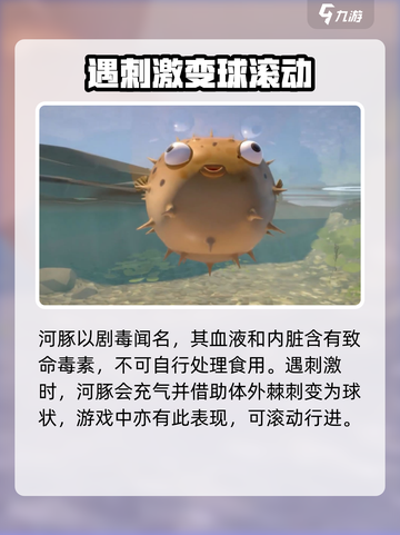 我是小鱼儿玩家角色大起底，游戏乐趣✨一网打尽！截图3