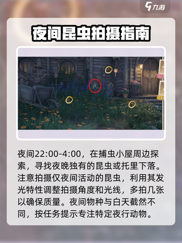 无限暖暖照片调查任务攻略介绍截图4