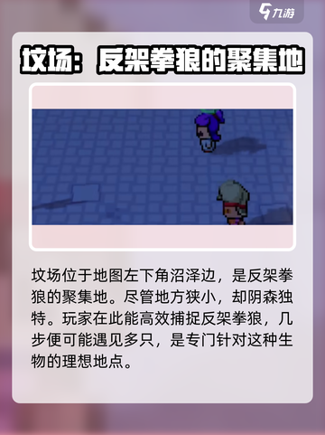 磁带妖怪反架拳狼位置🔥《口袋妖怪》必看攻略！截图3