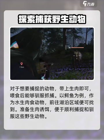 七日世界动物分布一览介绍截图4