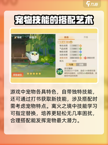 离火之境🔥宠物技能搭配推荐，爆发输出必备！截图2