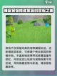 洛克王国世界公测什么时候介绍截图4