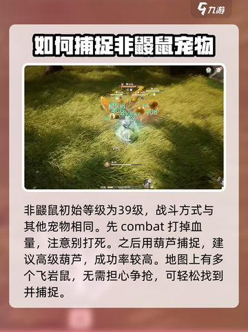 仙剑世界飞岩鼠怎么打介绍截图3