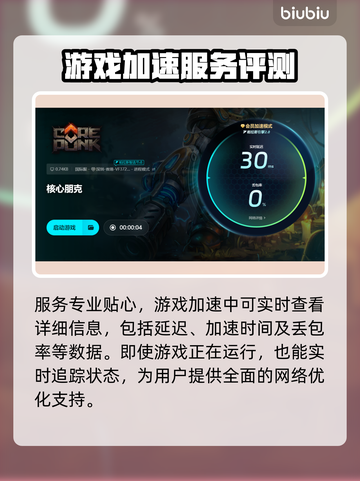 核心朋克闪退？👉加速器下载地址来了！🔥截图6