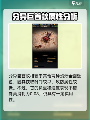 小小蚁国蚂蚁排名介绍截图4