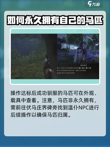 燕云十六声马怎么抓介绍截图4