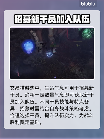命运方舟：生命气息用途大揭秘！🔥🚀截图2