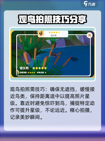 心动小镇🔥鸟类图鉴大揭秘！拍鸟技巧GET【鹂】截图4