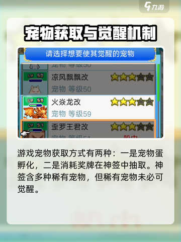 大航海探险物语🔥宠物觉醒条件全揭秘🎉截图2
