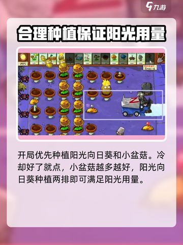 植物大战僵尸杂交版第9关🔥通关秘籍在这里！游戏技巧大公开🎉截图4