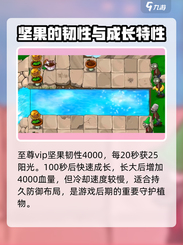 植物大战僵尸：至尊VIP坚果💥，防御力MAX！🔥截图2