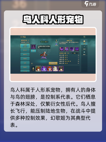 魔力宝贝鸟能打吗？🔥鸟人科宠物全解析！截图2