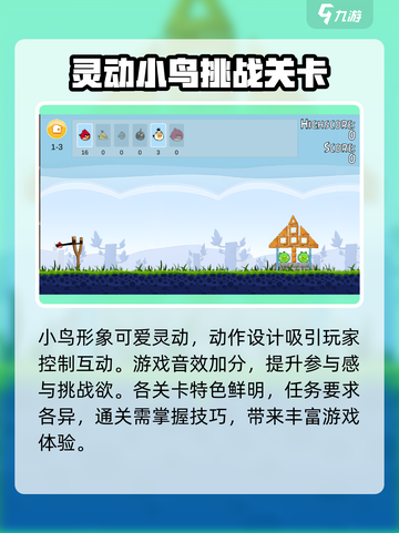 愤怒的小鸟肉鸽版🔥玩法超赞，好玩到停不下来！🎉截图4