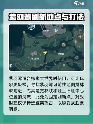 鸣潮🔥紫羽鹭技能超详细分享🎉游戏党必看！截图4