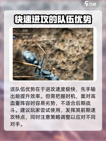 小小蚁国全运输蚁阵容怎么搭配介绍截图4