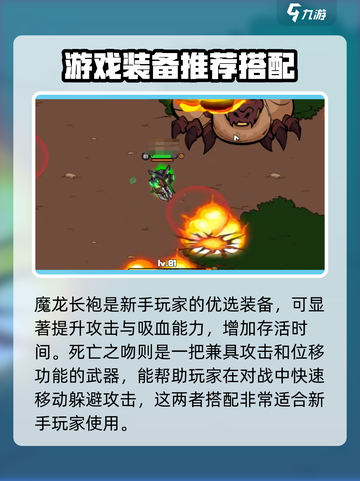 英勇之地🔥装备选择全攻略，手游党必看！截图2