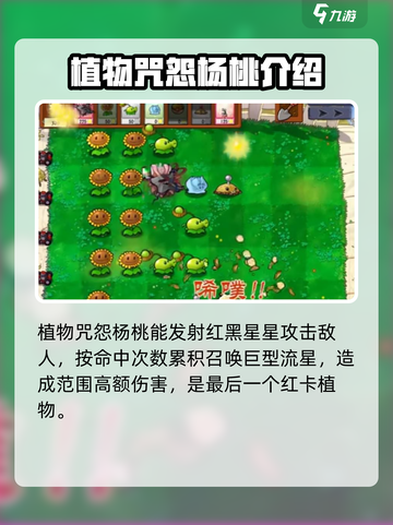 植物大战僵尸抽卡版红卡有哪些介绍截图5