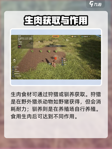 荒野起源物品图鉴介绍截图4