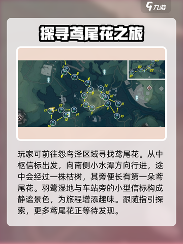 鸣潮鸢尾花具体位置在哪里介绍截图2