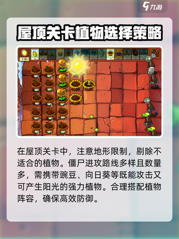 植物大战僵尸杂交版屋顶花园技巧介绍截图3