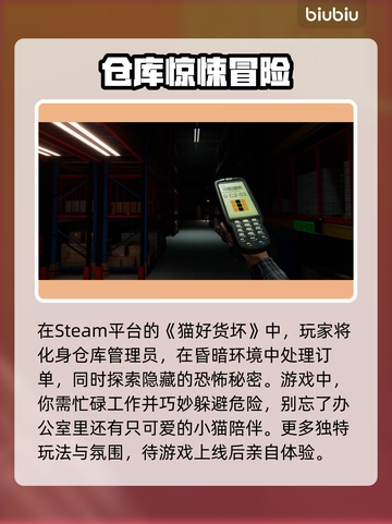 Steam猫好货坏英文名大起底！🎮🔥截图3