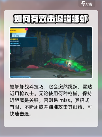 潜水员戴夫螳螂虾打法分享介绍截图5