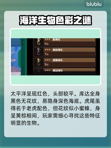 潜水员戴夫海马大全🎉游戏攻略一手掌握！截图7