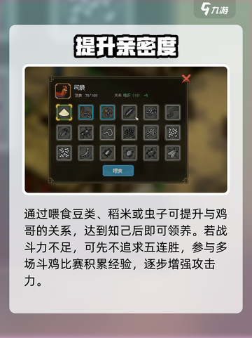 🔥大侠立志传斗鸡秘籍！🐓赢遍江湖截图4