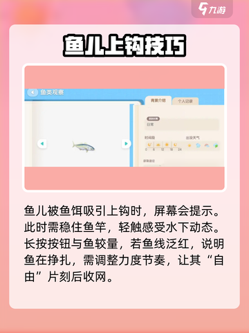 《心动小镇》海钓任务全攻略！🎣轻松完成不走弯路截图4