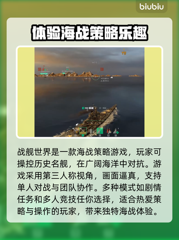 战舰世界掉帧？💥一招教你轻松解决！🎮截图2