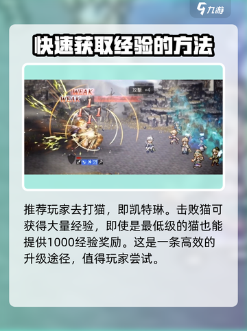 歧路旅人大陆的霸者🔥超高效刷经验升级方法大公开！截图4