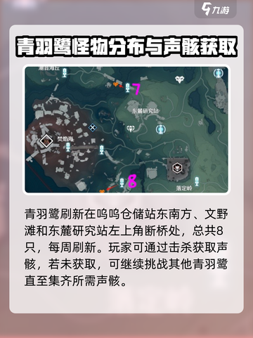 鸣潮⚡青羽鹭声骸讨伐路线攻略💡截图2
