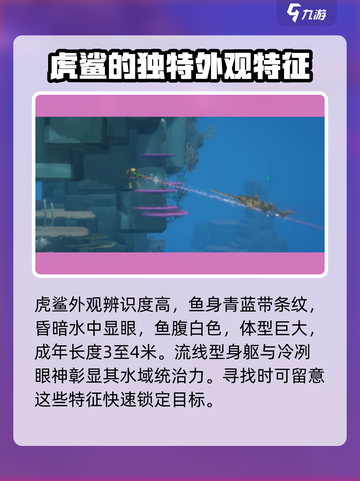 潜水员戴夫🔥虎鲨打法攻略来了！快看👇截图3