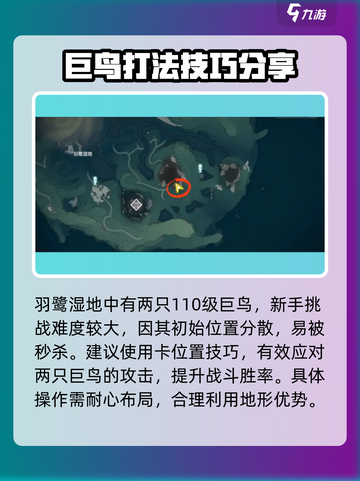 鸣潮⚡双生翎鹭打法攻略，轻松通关的秘密在这里！截图2