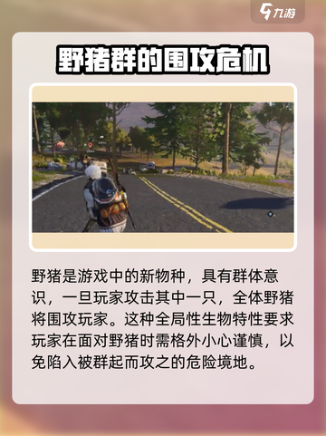 七日世界野猪怎么打介绍截图2
