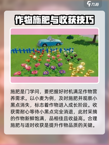 心动小镇🔥快速种植技巧💎让你的农场一夜爆满！截图3