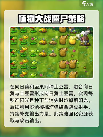植物大战僵尸🔥第四关冒险模式通关攻略来啦！截图4