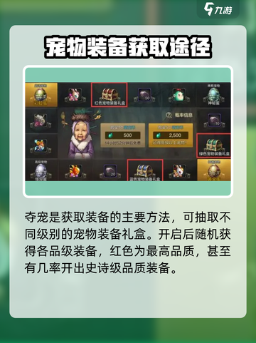 地下城与勇士起源宠物攻略介绍截图6
