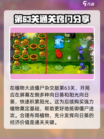 植物大战僵尸63关🔥通关秘籍💥玩法规则全介绍！ Zombies截图2