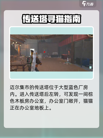 七日世界💡异维大猫捕捉位置🔥超全攻略来啦！截图5
